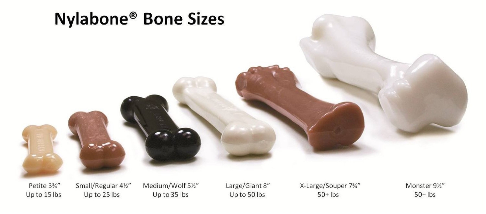 Nylabone (5 Pack) FlexiChew Chicken Flavored Bone Dog Chew Toys - Size Regular