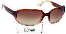 SFx Replacement Sunglass Lenses fits Arnette Degree AN4071 - 60mm Wide