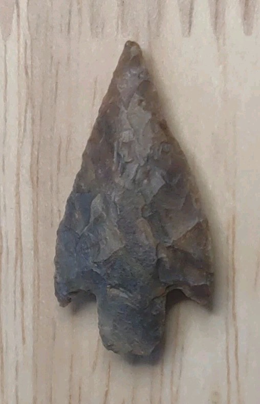 Neolithic Period Arrowhead Sahara Desert Africa 1 3/16 Inch Triangular Stemmed