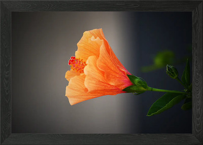 Orange Blume gerahmtes Wandbild Poster Leinwanddruck Bild