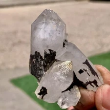 65G Natural White Crystal Backbone Cluster Black Mineral Mud Specimen