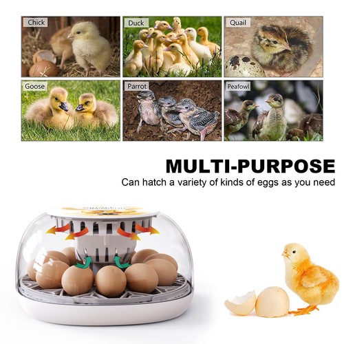 Manual egg flipping Incubator Chicken Hatcher Digital Incubators for Hatching - Picture 8 of 76