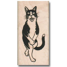 NEW Rubber Stamp Fun Cat Has To Use Box Animal Kitty Face Eyes Walk Go Right Now