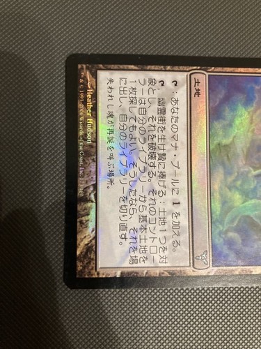 DIS FOIL1 sheet First Edition MTG Japanese JP Dissension - Picture 3 of 6