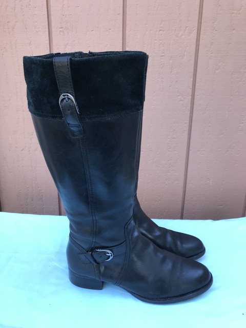ariat york boots