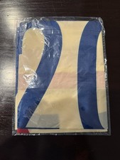 2026 Phillies Opening Day 2025 NL East Champs SGA Banner / Pennant