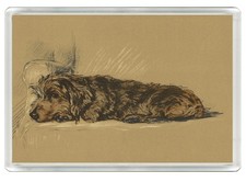 DACHSHUND WIRE HAIRED DOG FRIDGE MAGNET GREAT GIFT