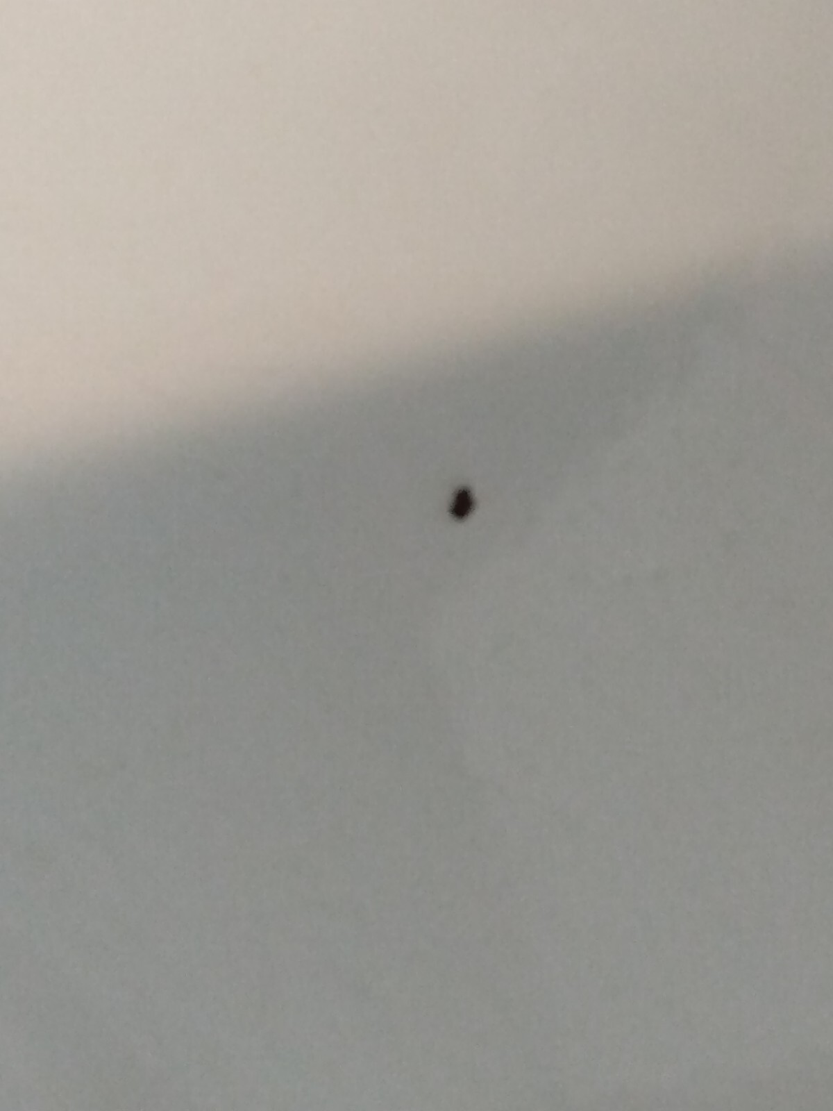 Picture 15 of 15