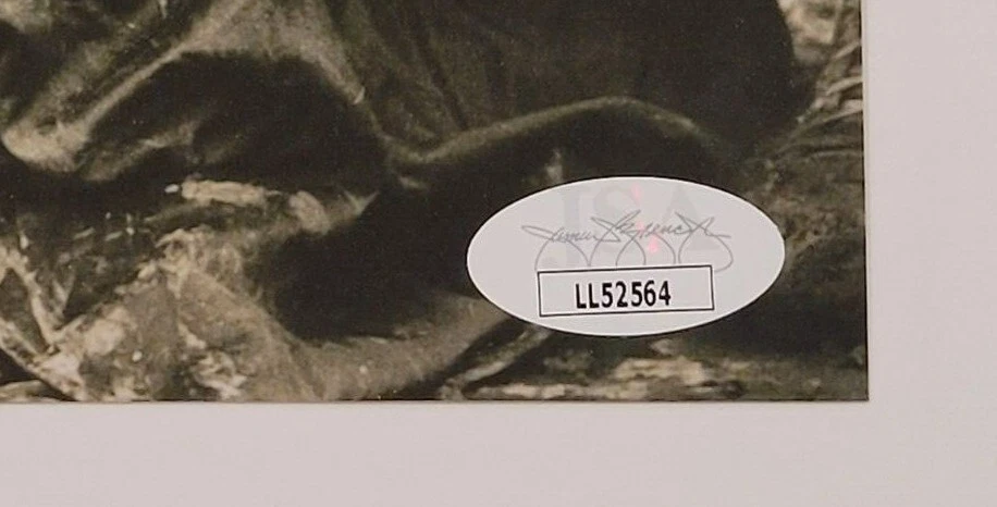 CHARLEY TRIPPI Signed 8x10 Photo-CHICAGO CARDINALS-JSA Authentication - Image 4 of 4