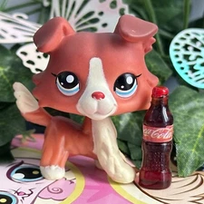 Pet Shop LPS Aftermarket 1542 Red White Collie Dog Main 5 w Accessory