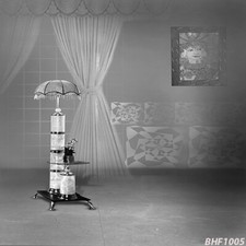 Indoor 10'x10'Computer-painted Vinyl Scenic Photo Background Backdrop BHF1005-1