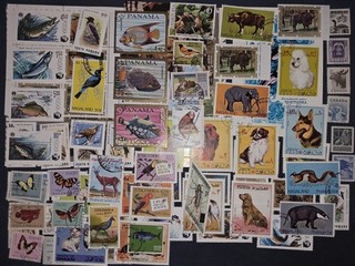 801 Lot Briefmarken Alle Welt Motivsammlung Tiere Gestempelt
