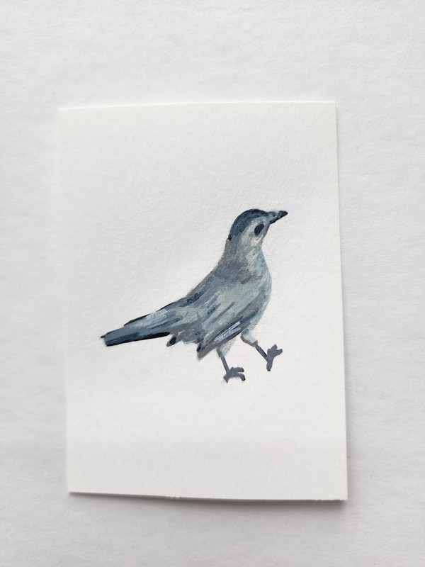 ACEO Original Acrylic Painting Small Grey Catbird by Kiva