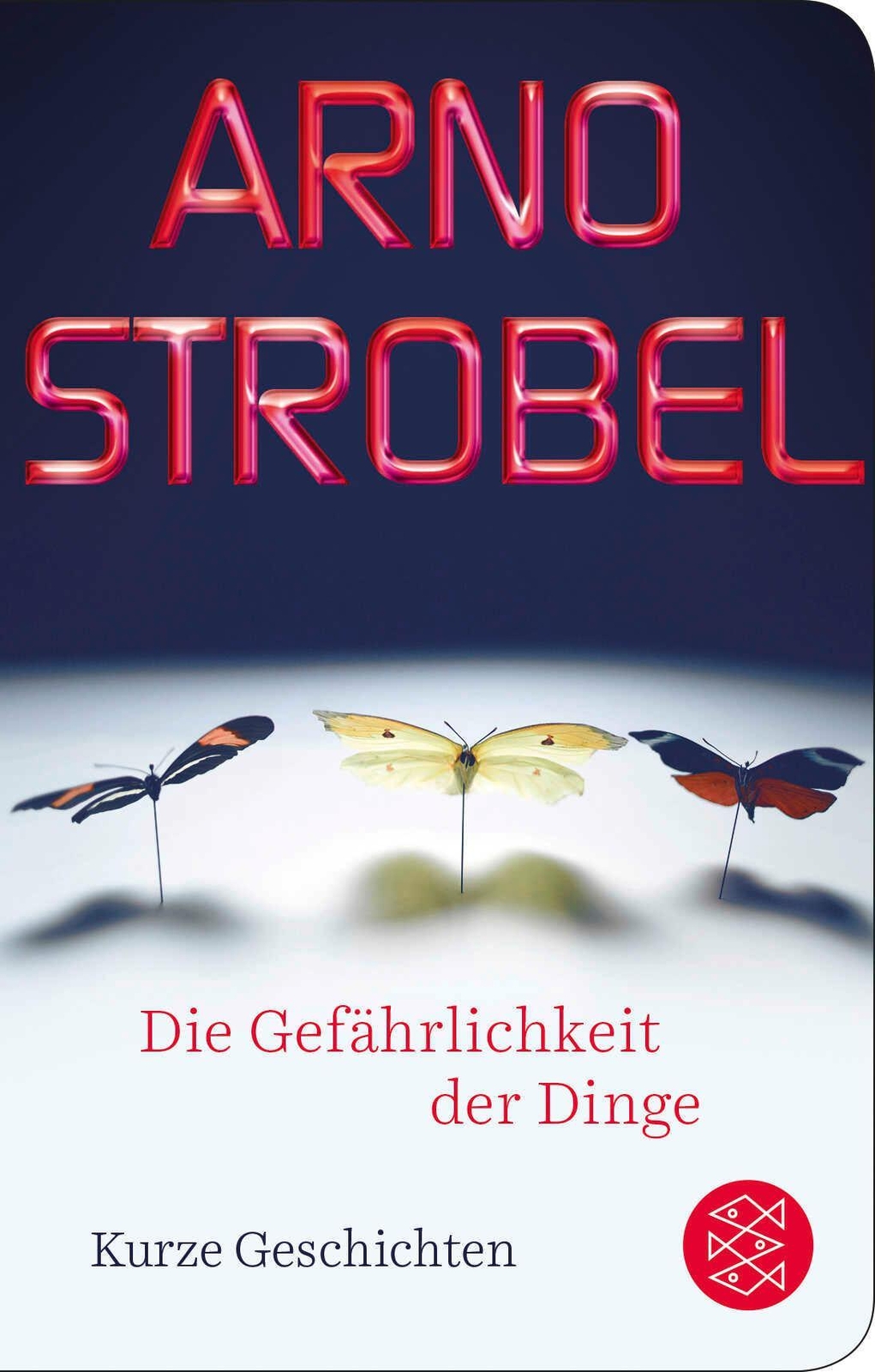 Arno Strobel / Die Gefährlichkeit Der Dinge / 9783596522224