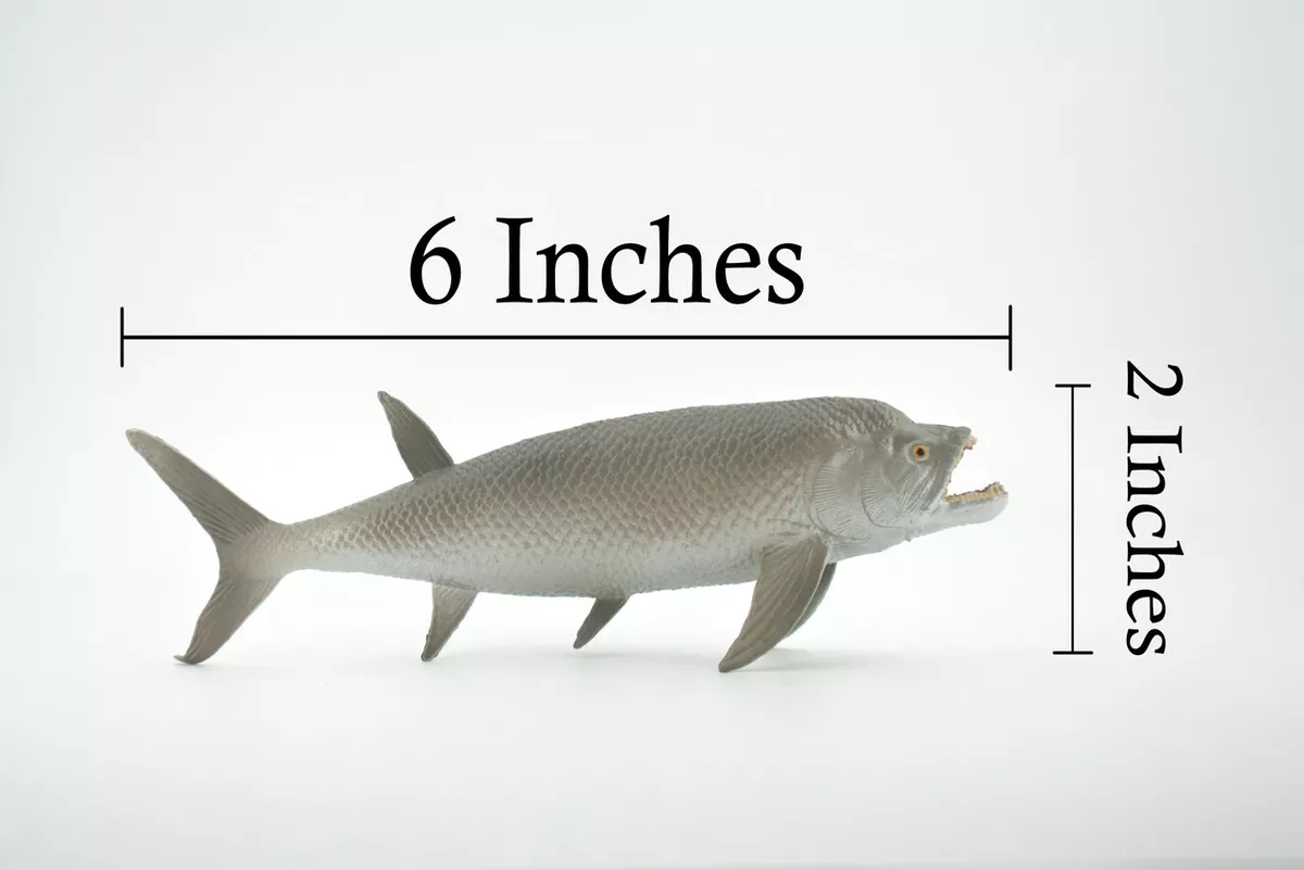 Xiphactinus toy best sale