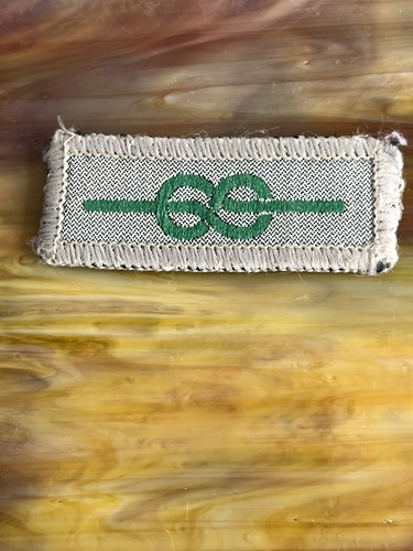 Vintage Cloth Scout Leader Badge Medal of Merit Badge 1980-2000 - Picture 2 of 3