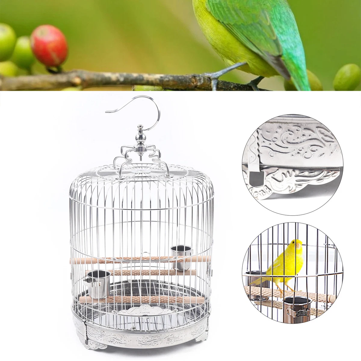 Cardboard bird clearance carrier