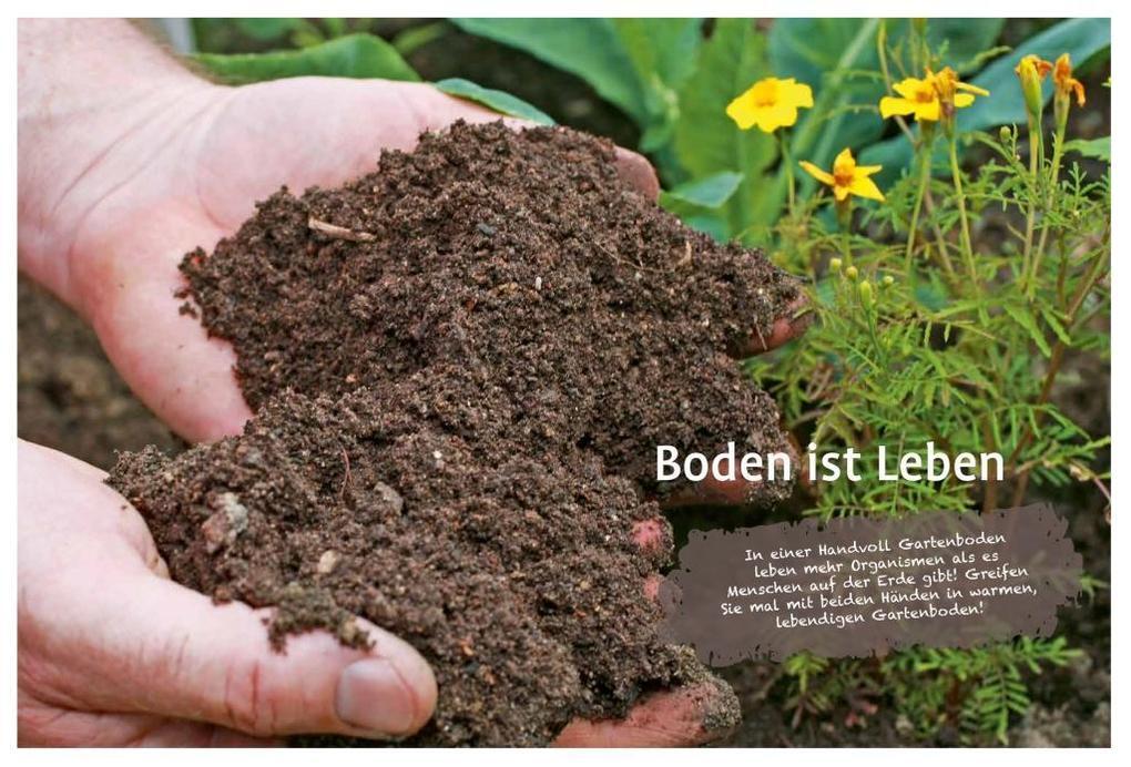 Thumbnail - Naturgarten Ganz Einfach | Heike Boomgaarden, Bärbel Oftring, Werner