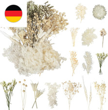 LAUMOE Getrocknete Blumen, Trockenblumen Zum Basteln Mini Trockenblumen Set F&uuml;r