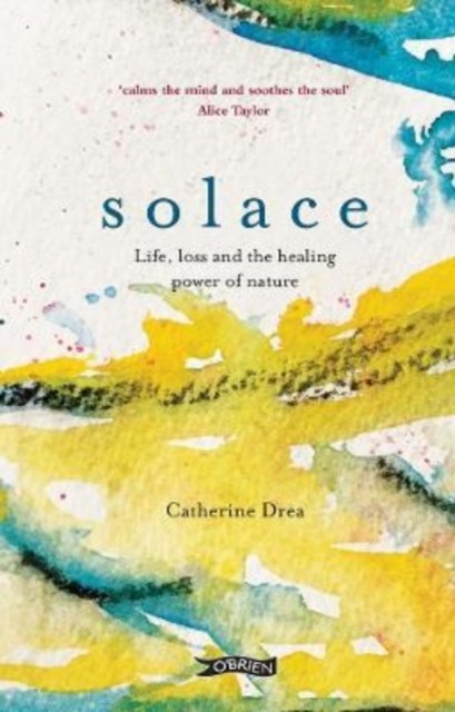 Solace by Catherine Drea (Hardback Book)