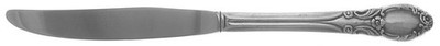 Oneida Silver Park Lane-Chatelaine-Dowry  Modern Hollow Knife 498429