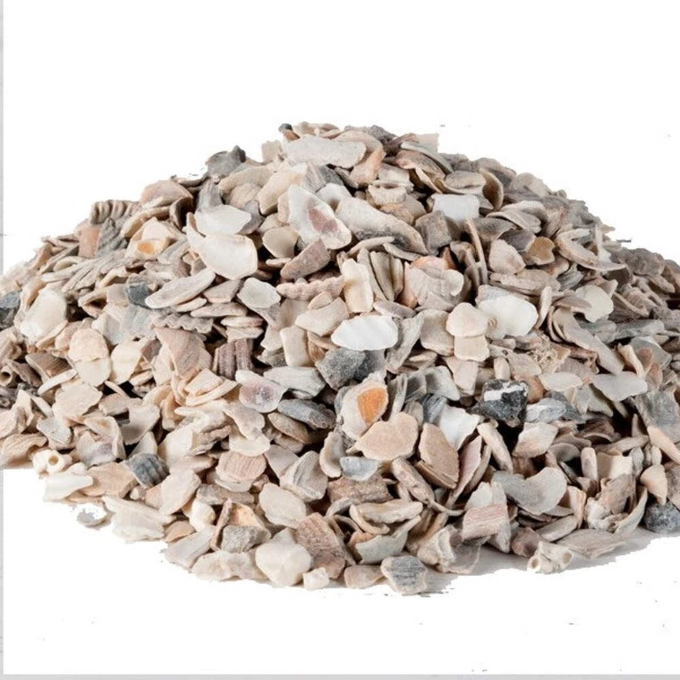MY STORE Oyster Shell 250g 500g 1kg Grit to Aid Bird Digestion Snail crab