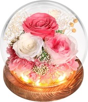 Wyriaza Ewige Rose Geschenke FüR Frauen Mama Frau Freundin Ehefrau,Geschenke FüR