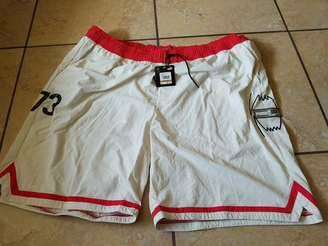 puma shorts 4xl