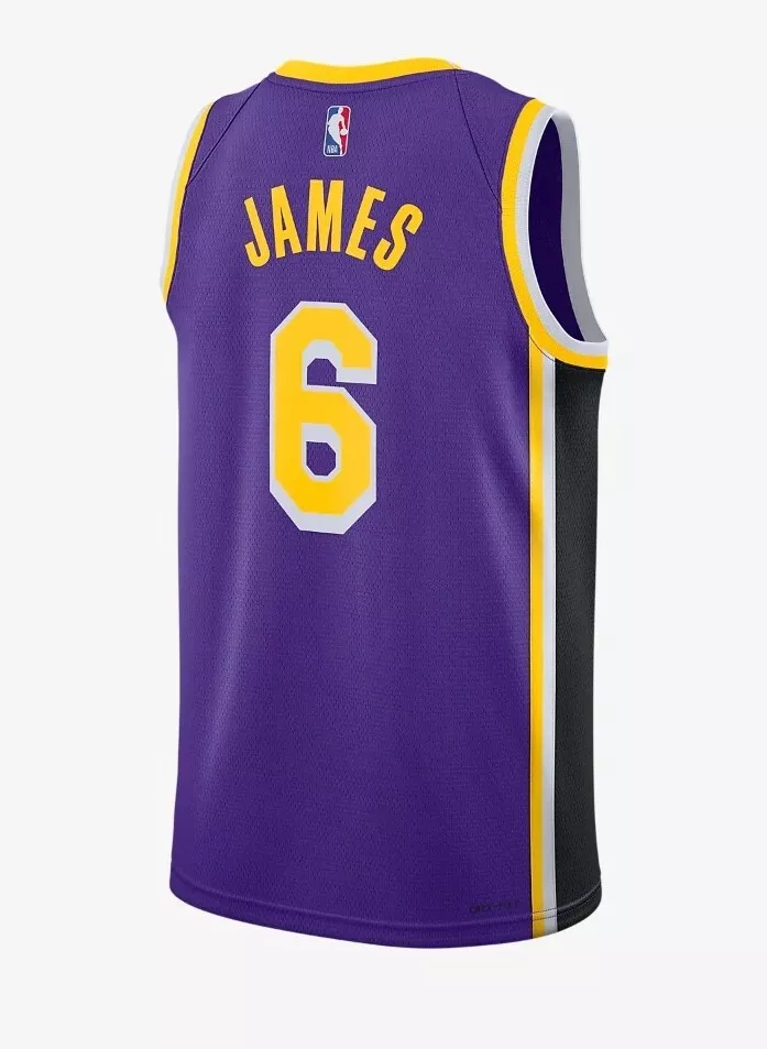 Los Angeles Lakers LeBron James #6 Association Swingman Jersey