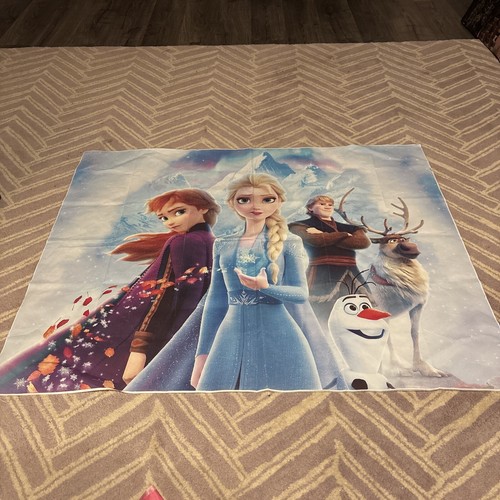 Frozen Backdrop Banner Girls Birthday, 39” X 49”