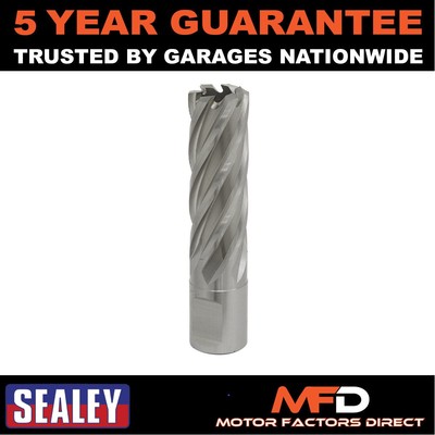 Sealey Worksafe �� 19 mm HSS Mag Bohrer Schnitttiefe 50 mm RBHSS19L