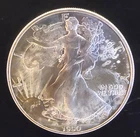 1990 American Eagle Toned Walking Liberty Bullion Vtg-0.999 Silver 1 Oz Coin 2w