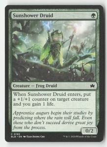 Sunshower Druid (195) - Bloomburrow - Common