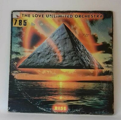 Love Unlimited Orchestra - Rise (LP, Album)