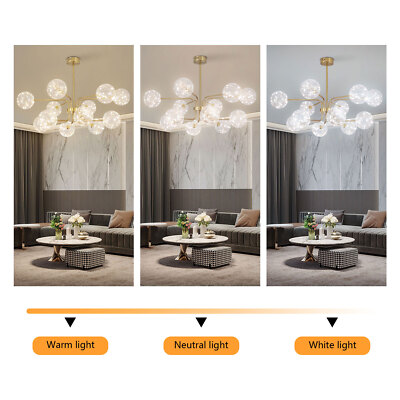Modern Large Chandelier 12 Light Pendant Light Hanging with Glass Globe 110V