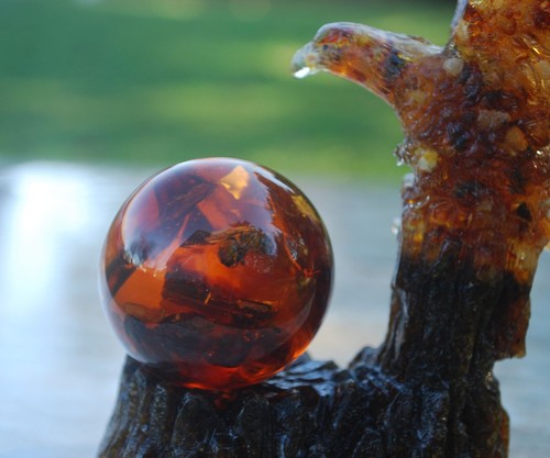 Baltic Amber Eagle and Amber Egg with inclusion Bee - Wholesale - 第 16/17 張圖片