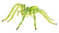 "Bullyland® 68455 \" Huschspinne \", Neu Mit FäHnchen, Dhl-Paketversand"