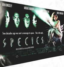 SPECIES   Orginal UK Mini Quad 1995  40cm x 30cm