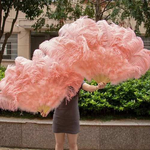 Feather Fans Wedding Dance Party Performance Feather Accessories Crafts Decor