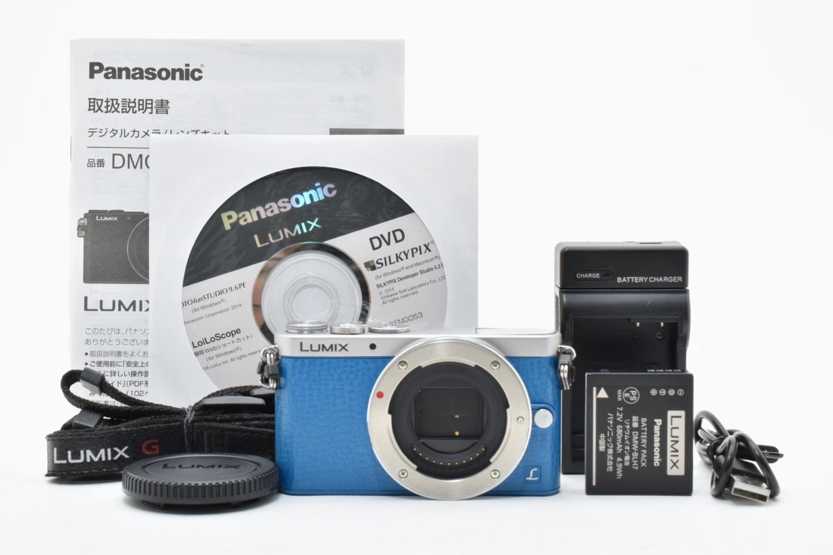 Panasonic LUMIX GM1 1-4.9x Digital Zoom Cameras for Sale | Shop