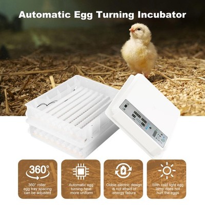 120 Eggs Incubator Chicken Incubators for Hatching Quail Automatic Egg Turning