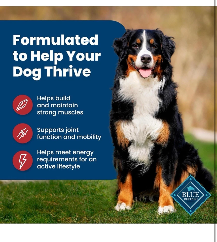 Blue Buffalo Life Protection Adult Beef and Brown rice recipe Dry Dog Food 5lb! - Image 4 of 4