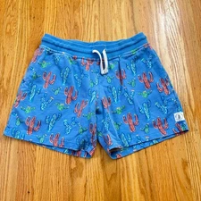 CHUBBIES Blue Red Green Cactus Lounge Shorts Mens Size Medium
