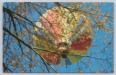 Vibrant Hot Air Balloon Flight Through Autumn Trees Postcard