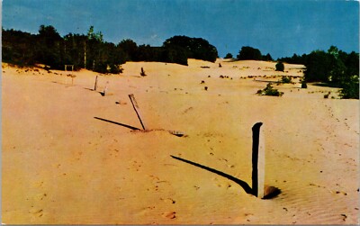 Old Stone Boundary Line in the Desolate Desert of Maine Vintage Postcard