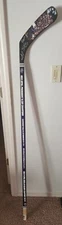 Pensacola Ice Flyers Championship Celebration Stick Pilots Poster Banner Signed