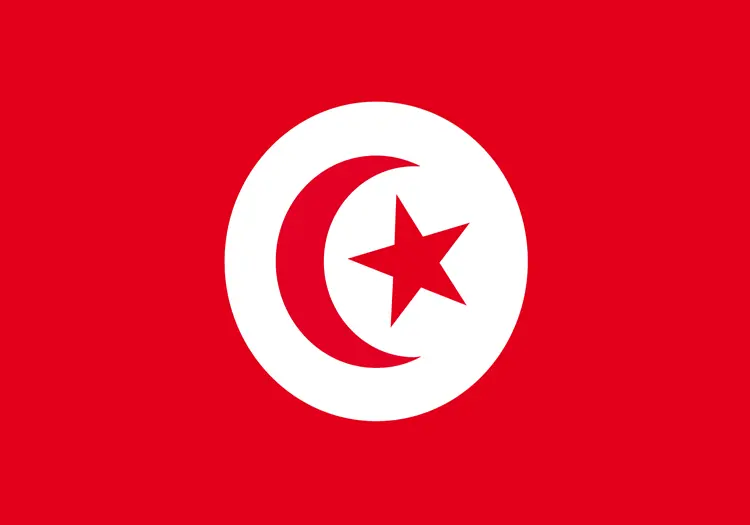 Drapeau Tunisie - tissu - 90 x 150cm - Décors du monde