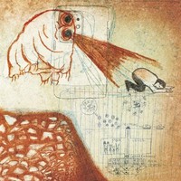 Future Teenage Cave Artists | Deerhoof | Audio-Cd | Cd | 2020 | 375 Media Gmbh