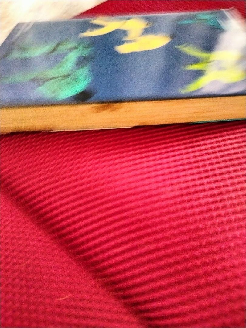 Karate Book: Kanazawa Hirokazu Become Stronger in 6 Weeks, Shotokan, Used