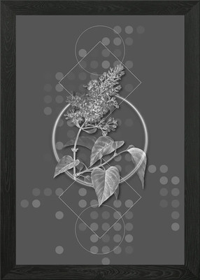 Gemeine rosa Flieder Pflanze gerahmtes Wandbild Poster Leinwanddruck Bild